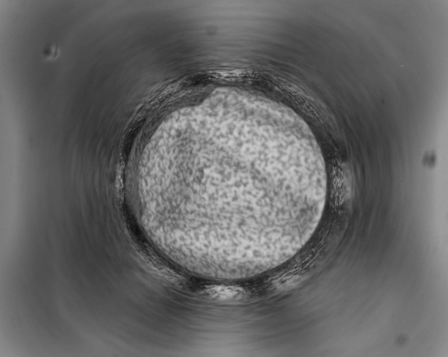 X0000098010654200804181136