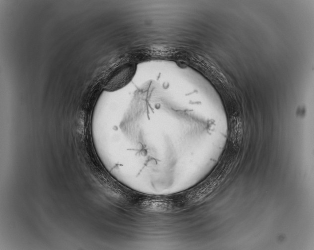 X0000098010655200804181136