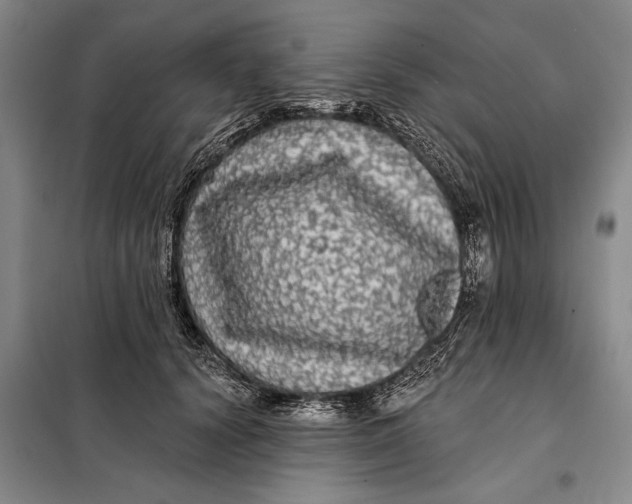 X0000098010656200804181136