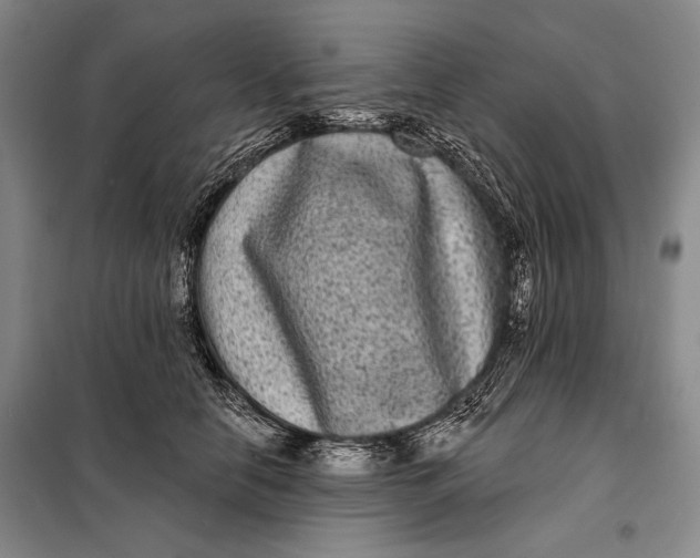 X0000098010658200804181136