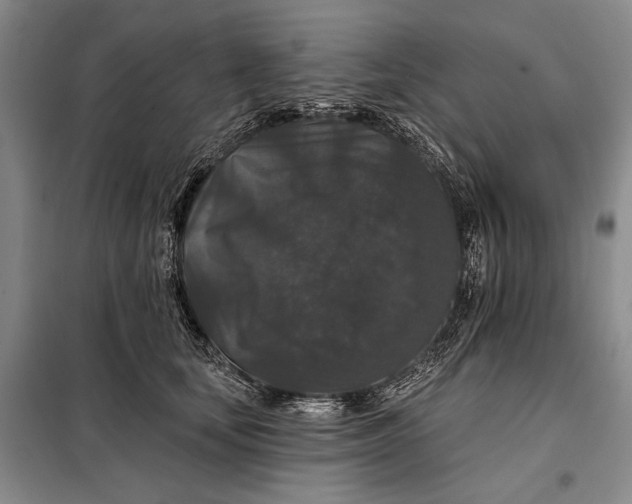 X0000098010659200804181136