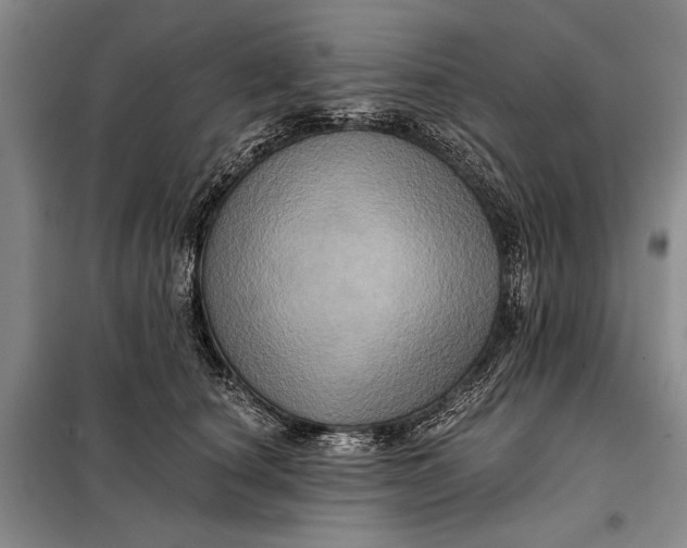 X0000098010660200804181136