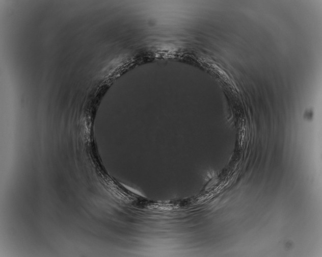 X0000098010661200804181136