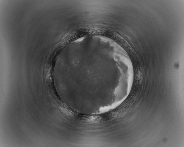 X0000098010663200804181136