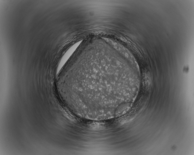 X0000098010664200804181136