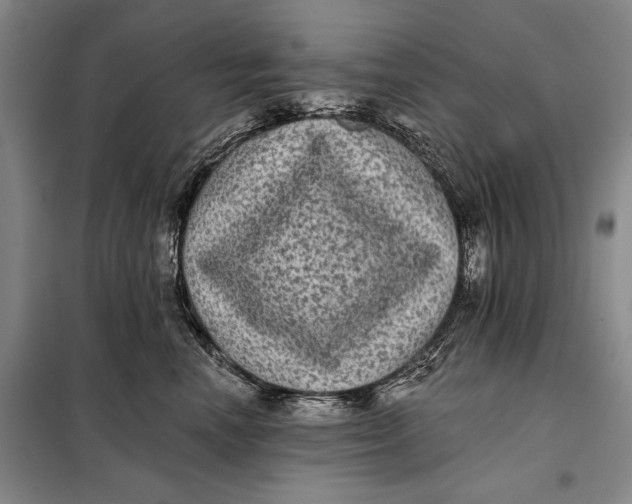 X0000098010666200804181136