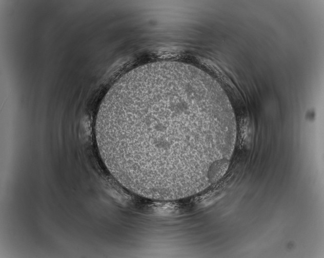 X0000098010667200804181136