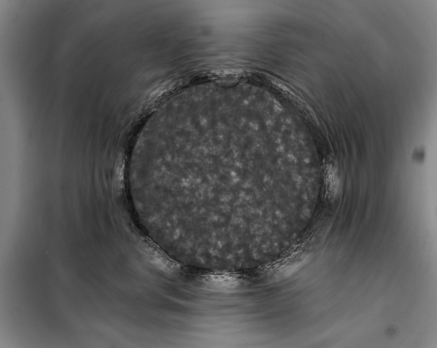 X0000098010668200804181136