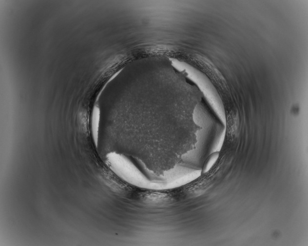 X0000098010669200804181136