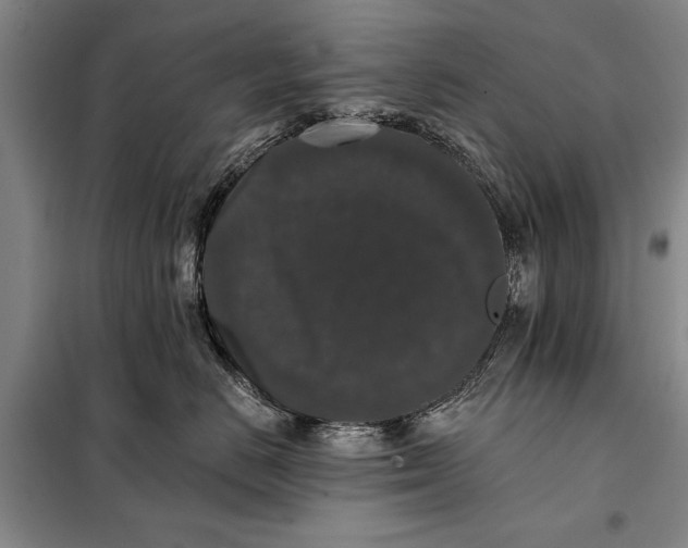 X0000098010670200804181137