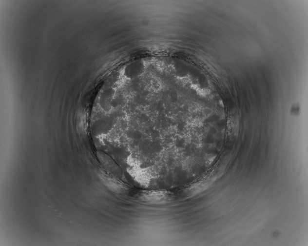 X0000098010671200804181137