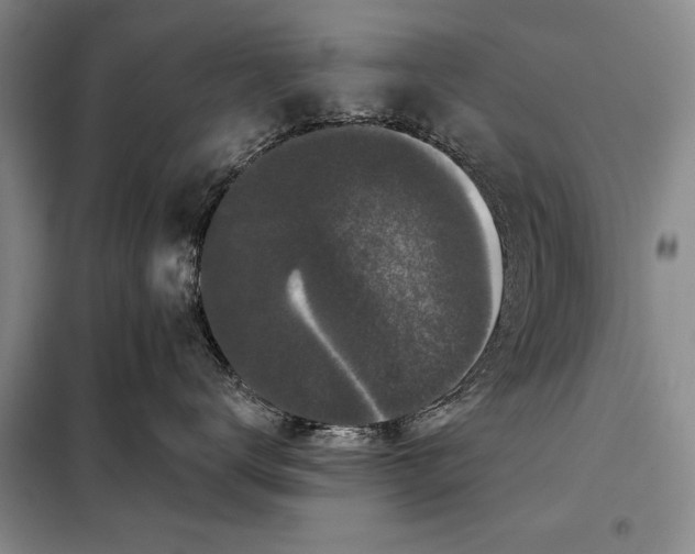 X0000098010672200804181137