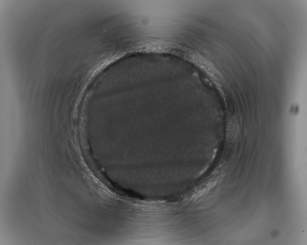 X0000098010673200804181136