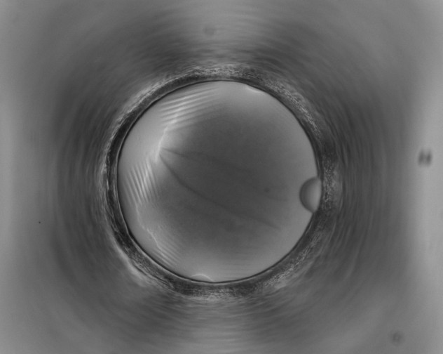 X0000098010674200804181136