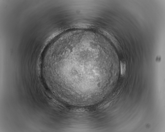 X0000098010675200804181136