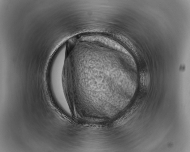 X0000098010676200804181136