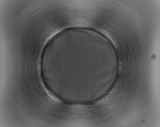 X0000098010677200804181136