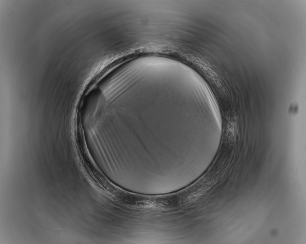 X0000098010678200804181136