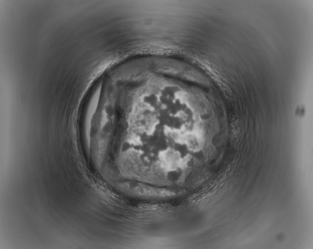 X0000098010679200804181136