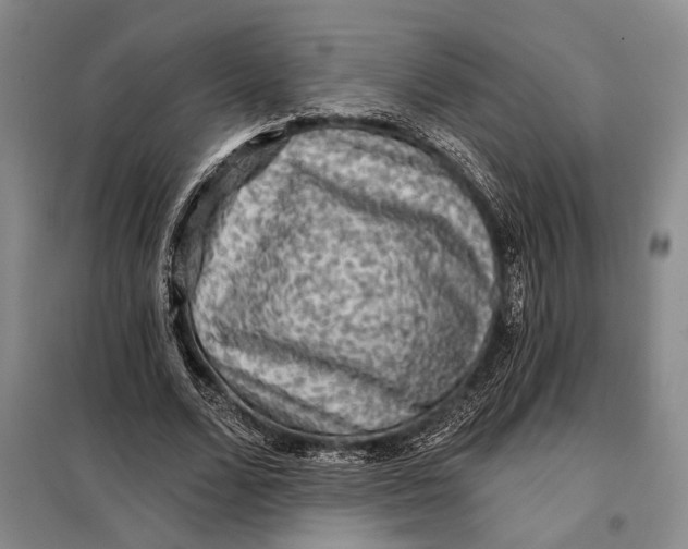 X0000098010680200804181136