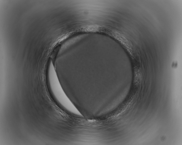 X0000098010681200804181136