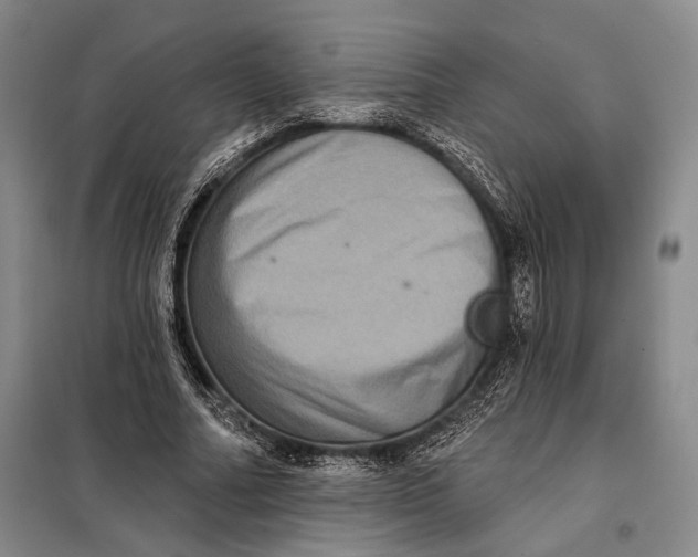 X0000098010682200804181136