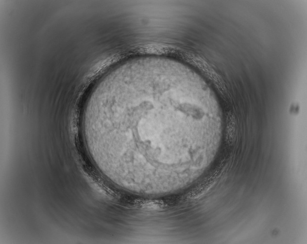 X0000098010683200804181136