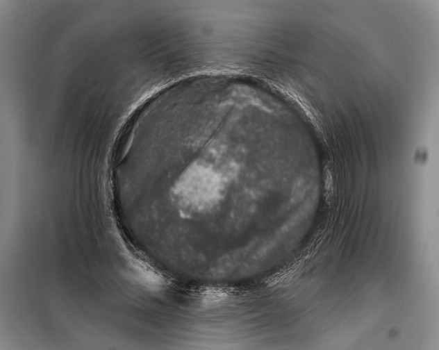 X0000098010684200804181136