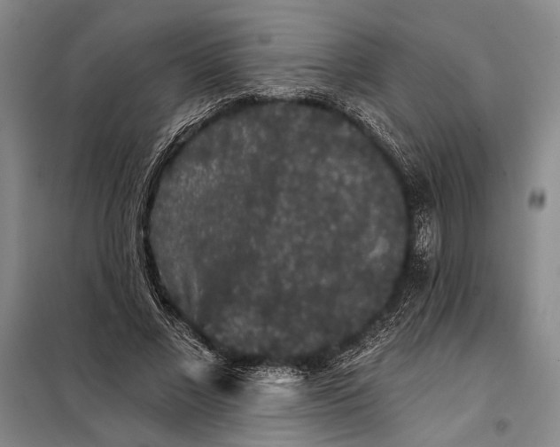 X0000098010685200804181136