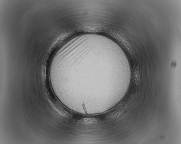 X0000098010686200804181136