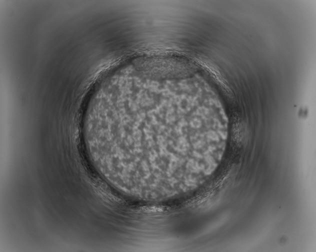 X0000098010687200804181136