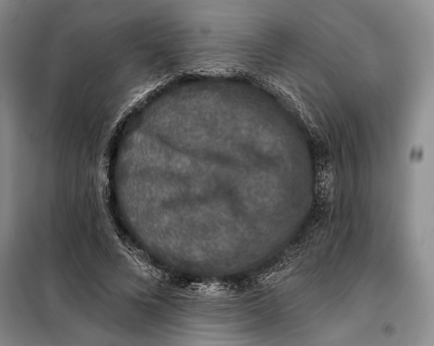 X0000098010688200804181135