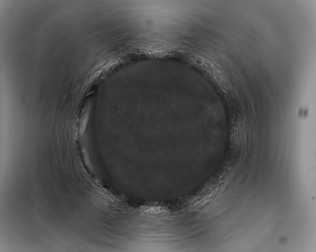 X0000098010689200804181135