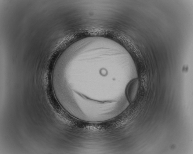 X0000098010690200804181135