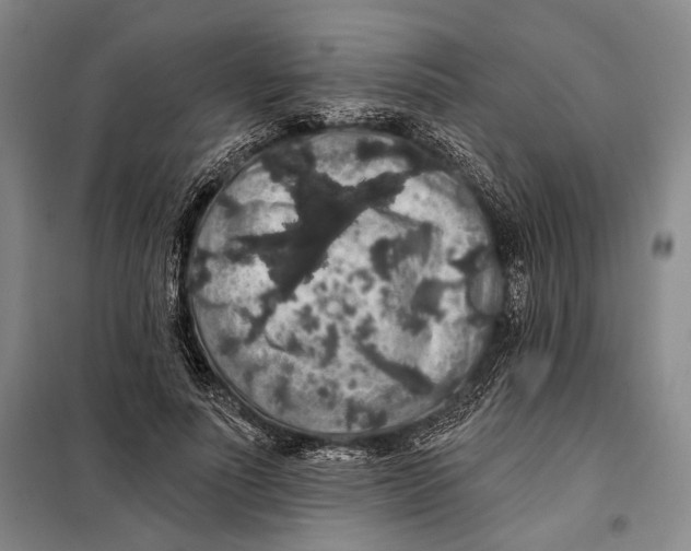 X0000098010691200804181135