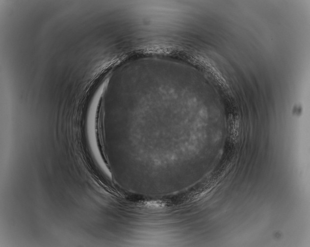 X0000098010692200804181135