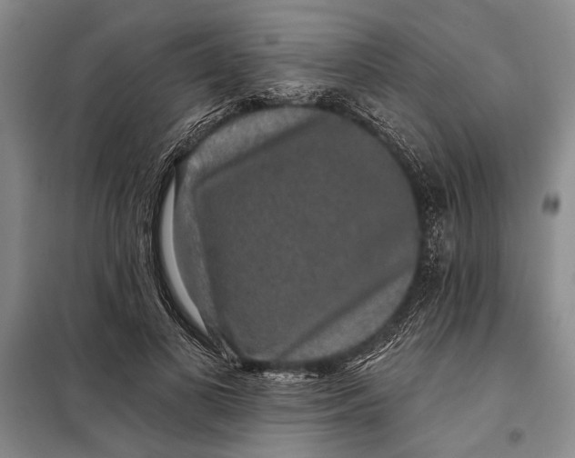 X0000098010693200804181135