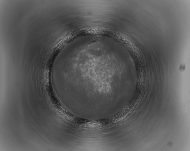 X0000098010696200804181135