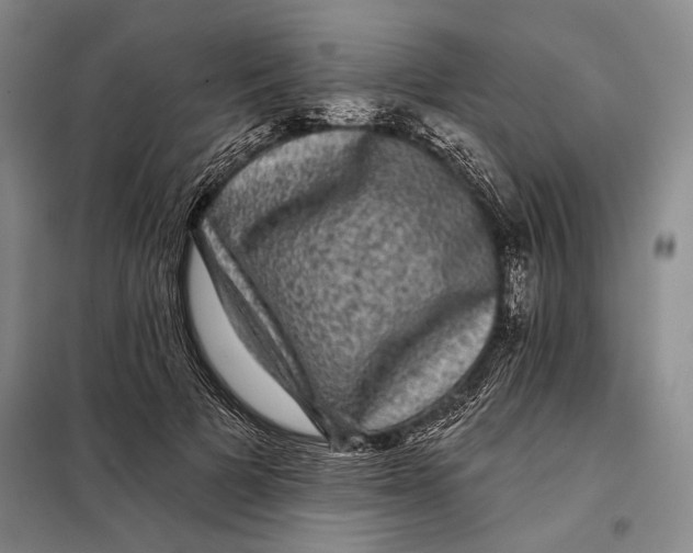 X0000098010697200804181135