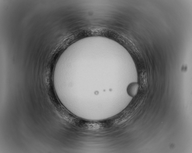 X0000098010698200804181135