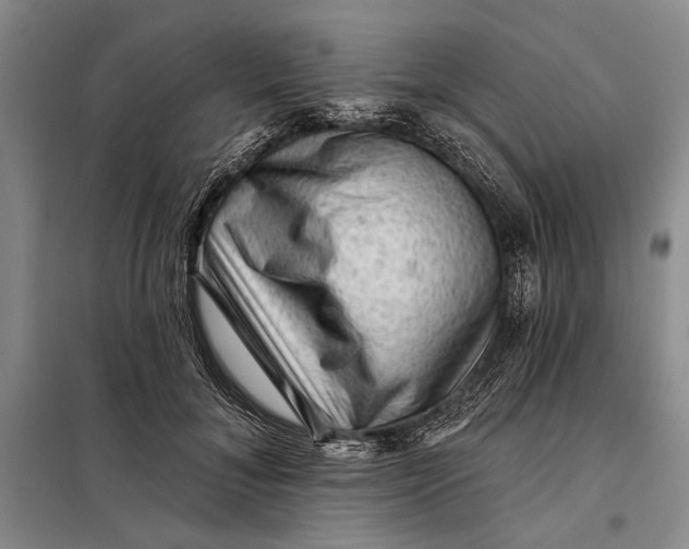 X0000098010700200804181135