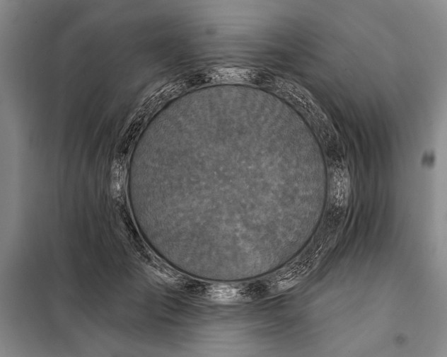 X0000098010701200804181135