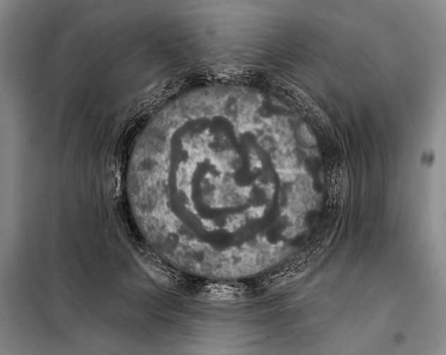 X0000098010703200804181135