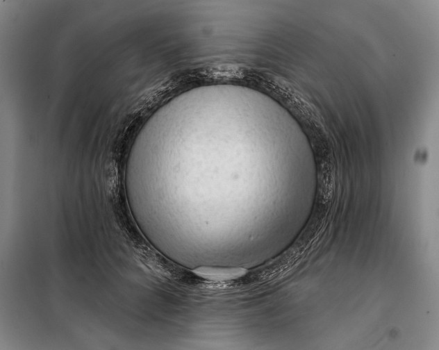 X0000098010704200804181135