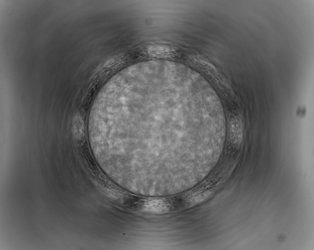 X0000098010705200804181135