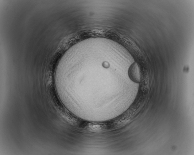 X0000098010706200804181135