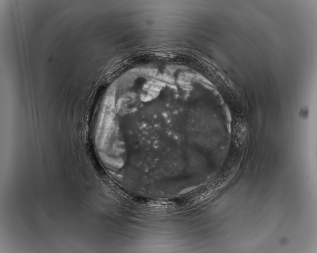 X0000098010707200804181135