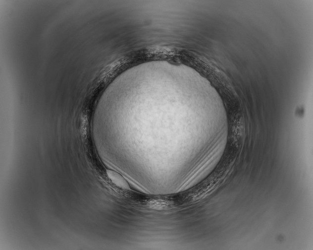 X0000098010708200804181135