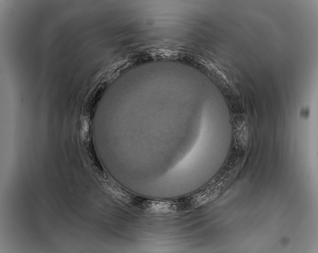 X0000098010709200804181135