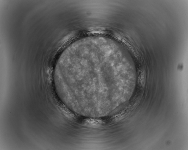 X0000098010712200804181135